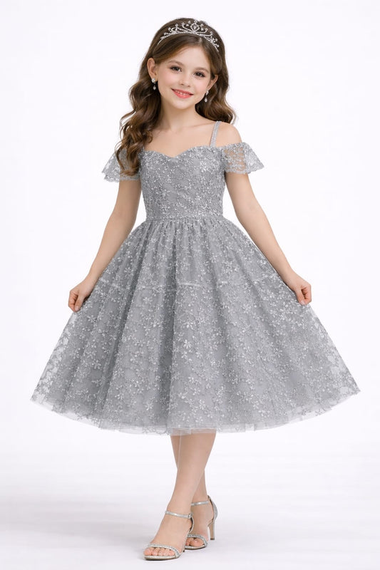 Silver Grey Lace Princess Party Dress for Girls
