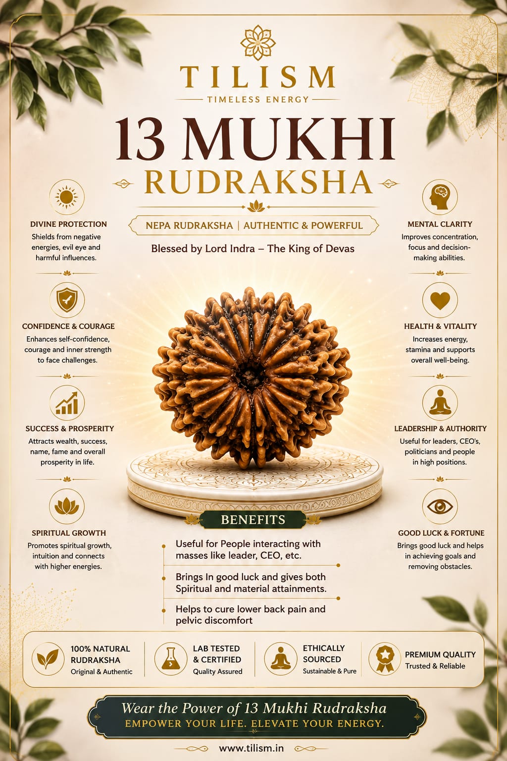 13 Mukhi Rudraksh | Sacred Rudraksha Bead | Tilism