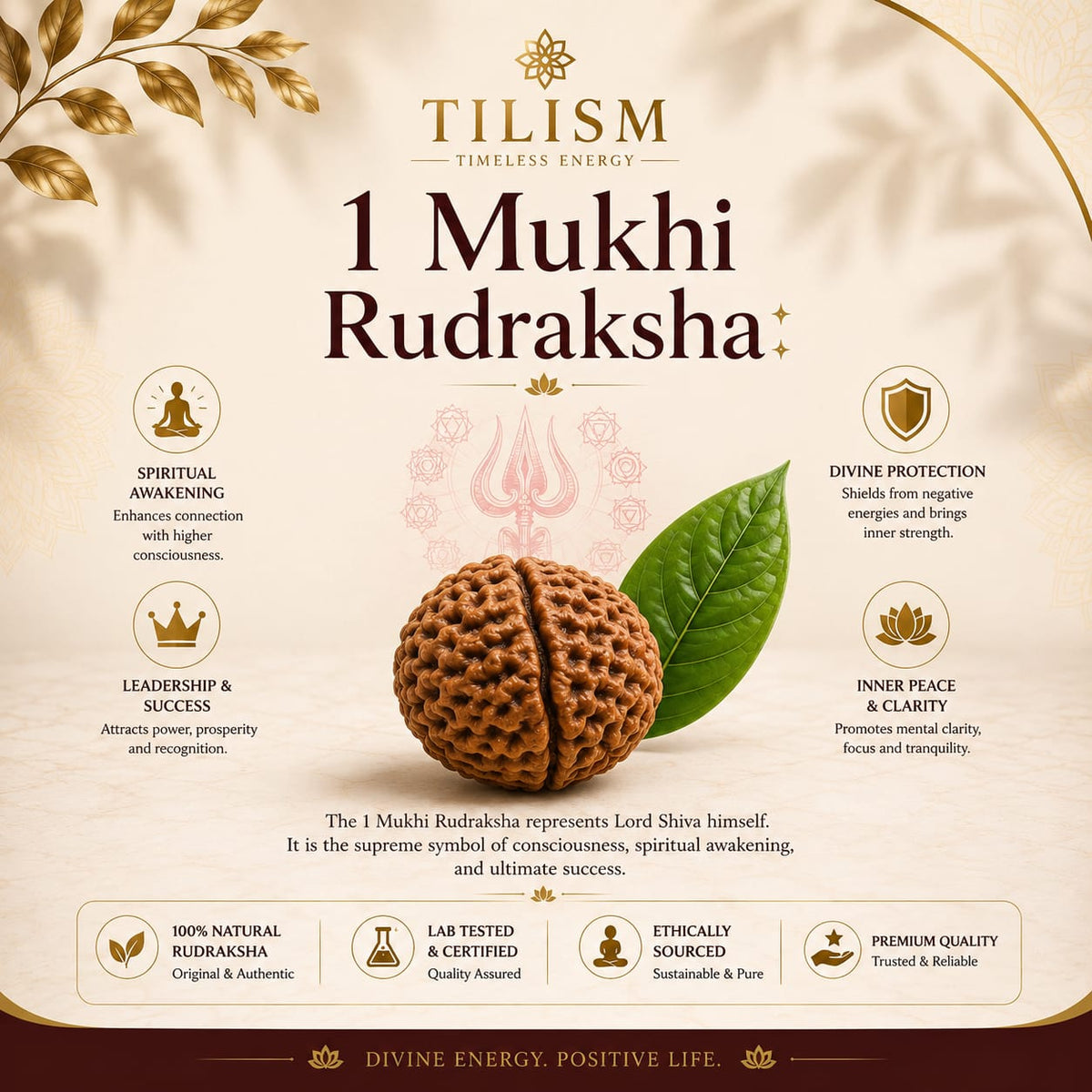 Tilism 1 Mukhi Rudraksha | Natural Rudraksh Bead