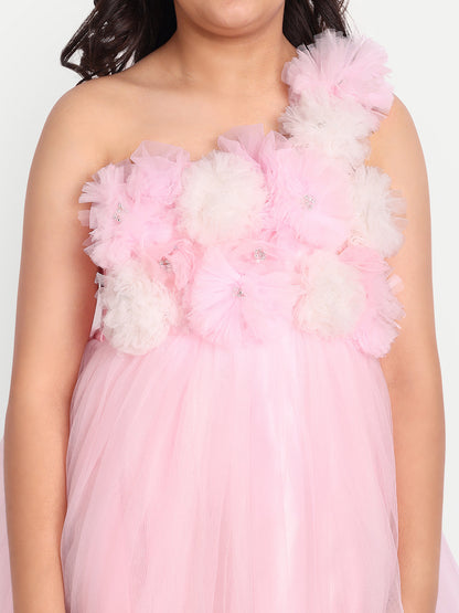 Girls Baby Pink Floral Net Party Gown