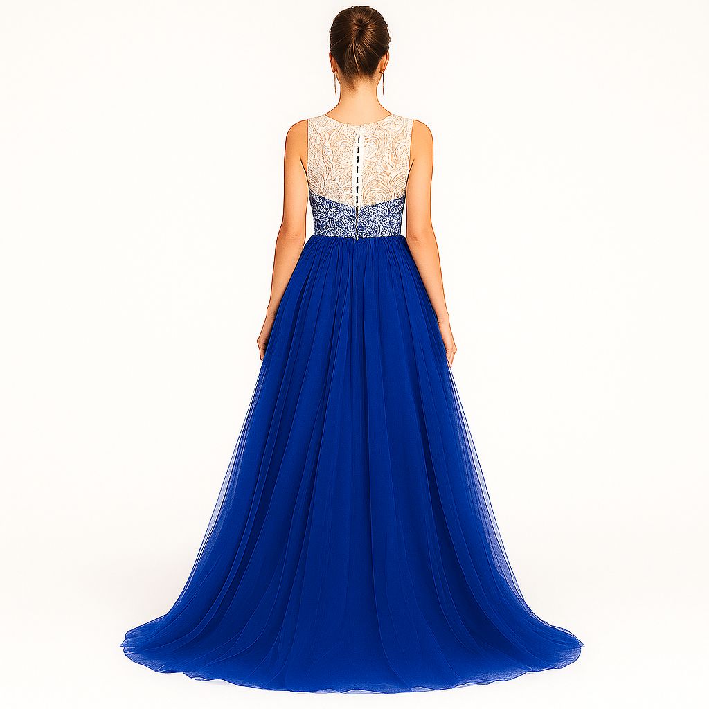 Elegant Women Embroidered Net Backless Gown Maxi Dress – Designer Party & Wedding Wear blue