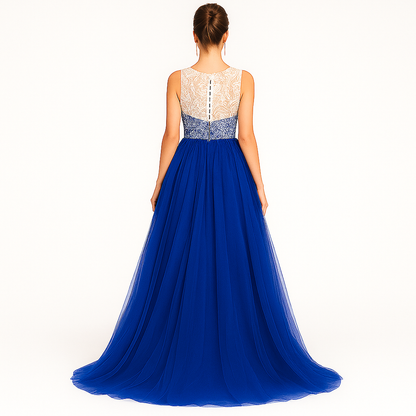 Elegant Women Embroidered Net Backless Gown Maxi Dress – Designer Party & Wedding Wear blue