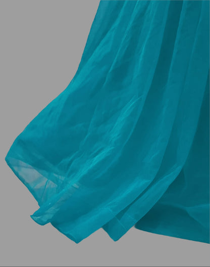 Elegant Women Embellished Sequined Boat Neck Net Fit & Flare Maxi Dress – Party & Evening Gown sky blue