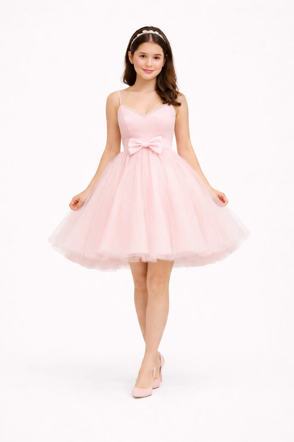 Elegant Women Net Fit & Flare Dress – Stylish Tulle Party & Occasion Wear