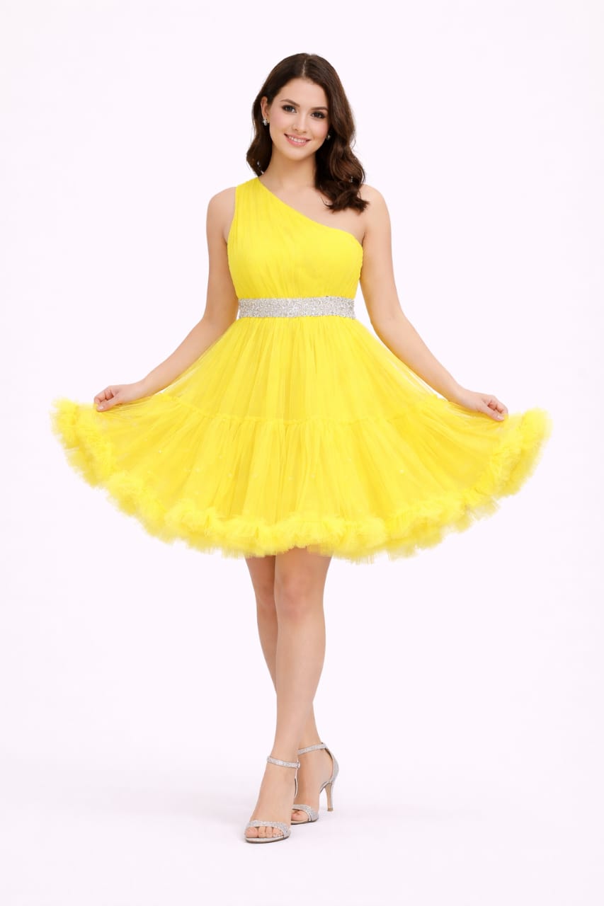 Elegant Women Net Fit & Flare Mini Dress – Party & Cocktail Wear
