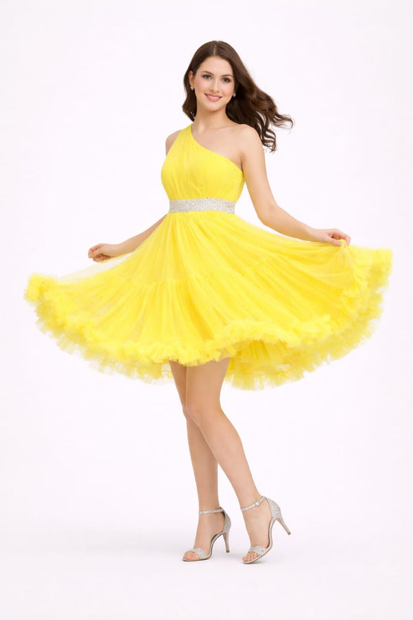 Elegant Women Net Fit & Flare Mini Dress – Party & Cocktail Wear