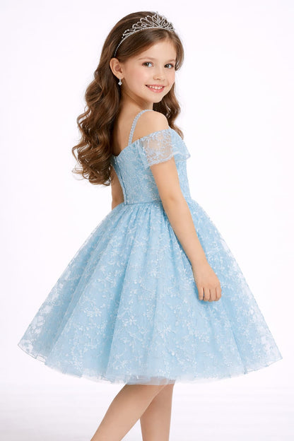 Sky Blue Lace Princess Party Dress for Girls