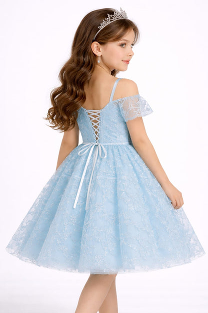 Sky Blue Lace Princess Party Dress for Girls