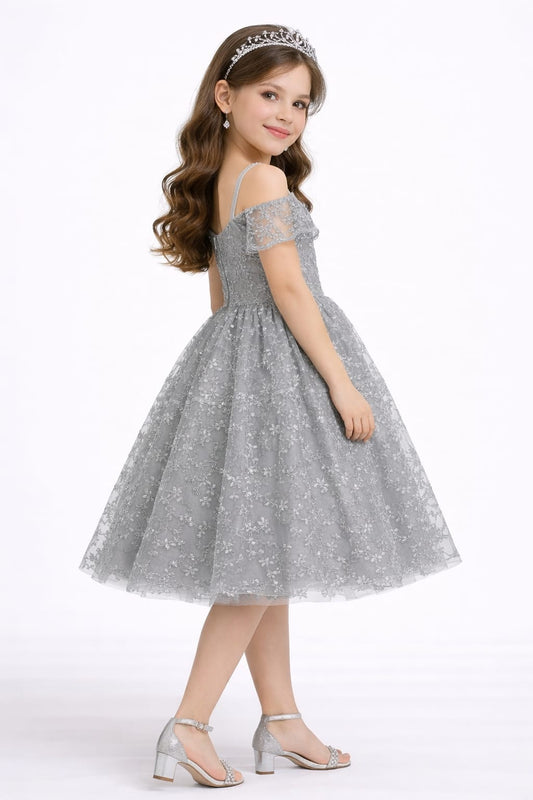 Silver Grey Lace Princess Party Dress for Girls