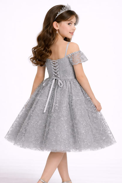 Silver Grey Lace Princess Party Dress for Girls