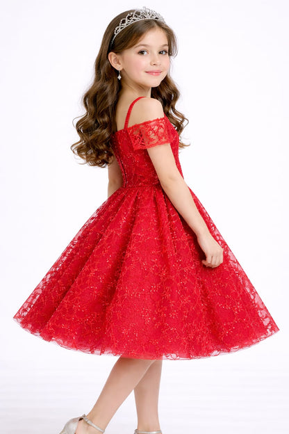 Elegant Red Lace Princess Party Dress for Girls