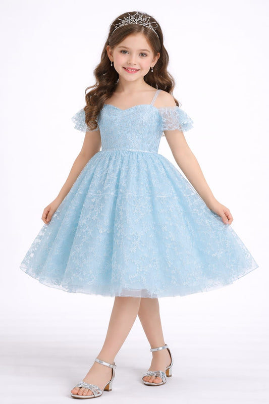 Sky Blue Lace Princess Party Dress for Girls