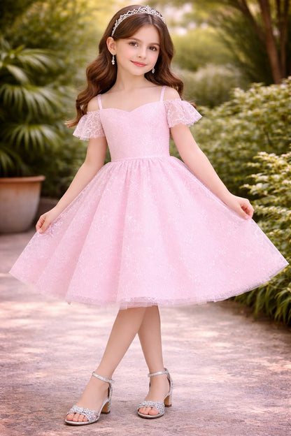 Baby Pink Lace Princess Party Dress for Girls
