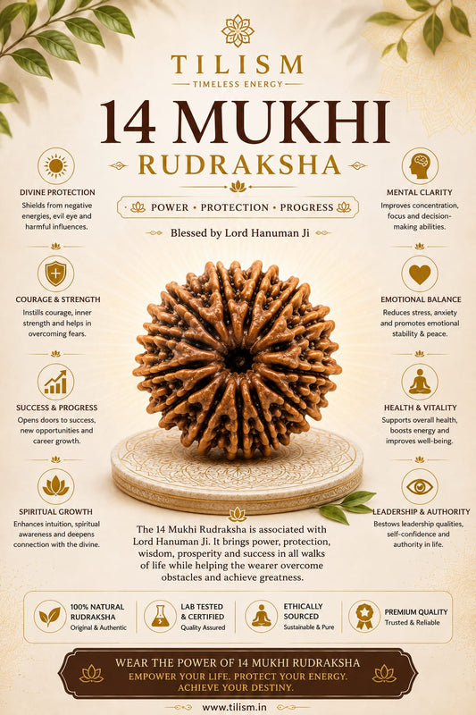 Tilism 14 Mukhi Rudraksha | Sacred Rudraksha Bead