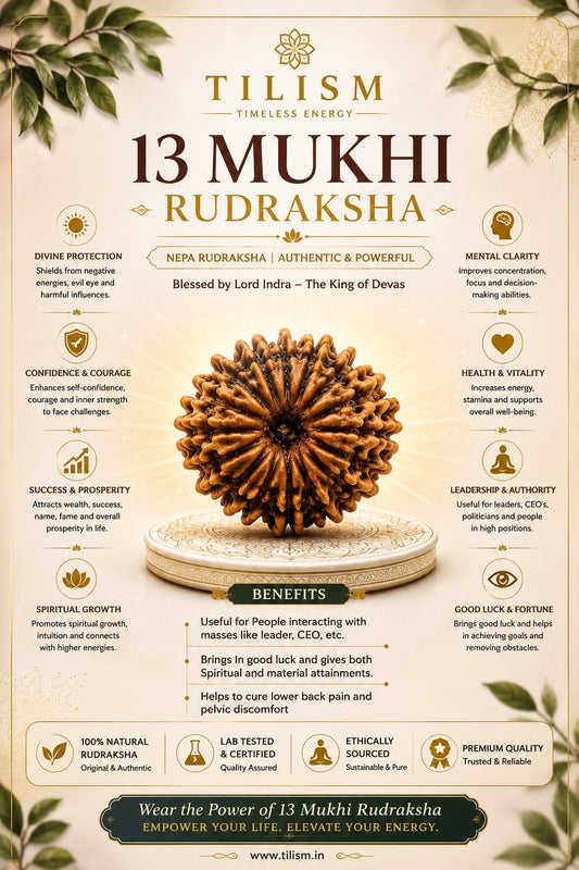 13 Mukhi Rudraksh | Sacred Rudraksha Bead | Tilism