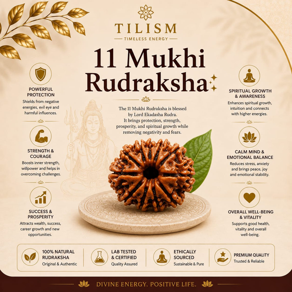 11 Mukhi Rudraksha | Ekadasha Rudra Rudraksh | Tilism