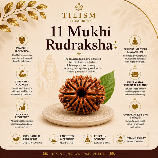 11 Mukhi Rudraksha | Ekadasha Rudra Rudraksh | Tilism