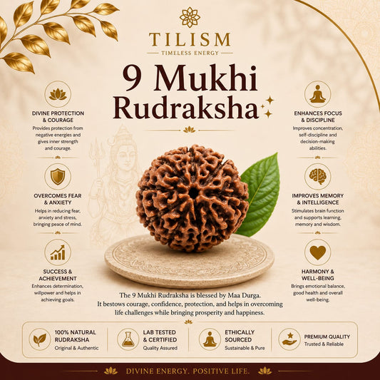9 Mukhi Rudraksha | Sacred Rudraksh Bead | Tilism