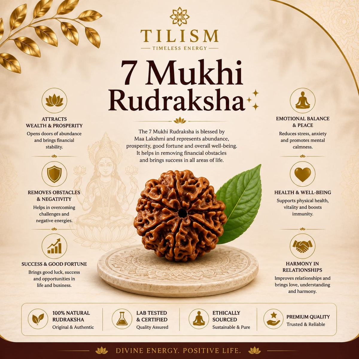 Tilism 7 Mukhi Rudraksha | Traditional Spiritual Bead