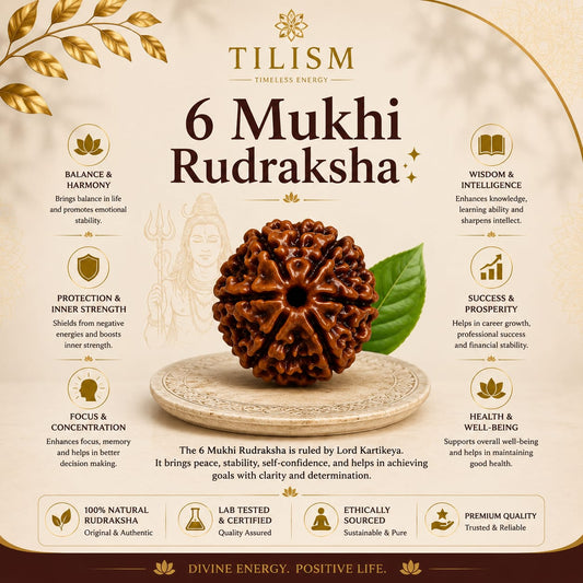 Tilism 6 Mukhi Rudraksha | Shanmukhi Rudraksha