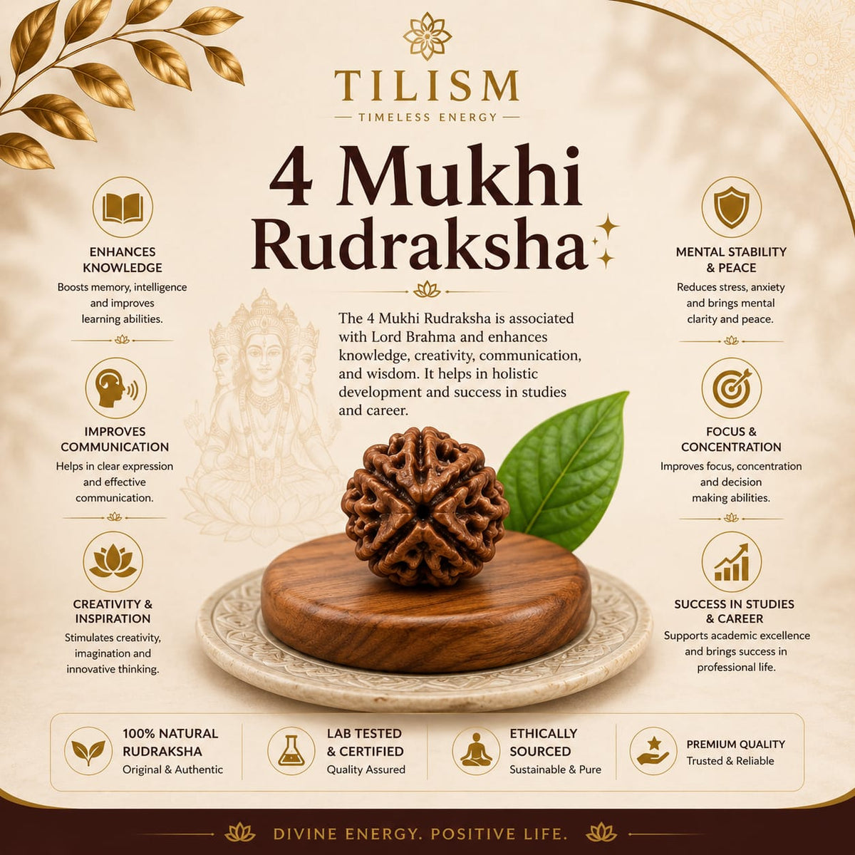 Tilism 4 Mukhi Rudraksha | Sacred Four Faced Rudraksh Bead