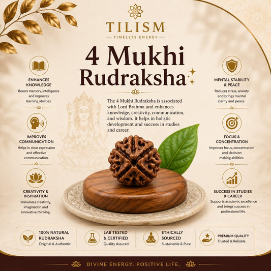 Tilism 4 Mukhi Rudraksha | Sacred Four Faced Rudraksh Bead