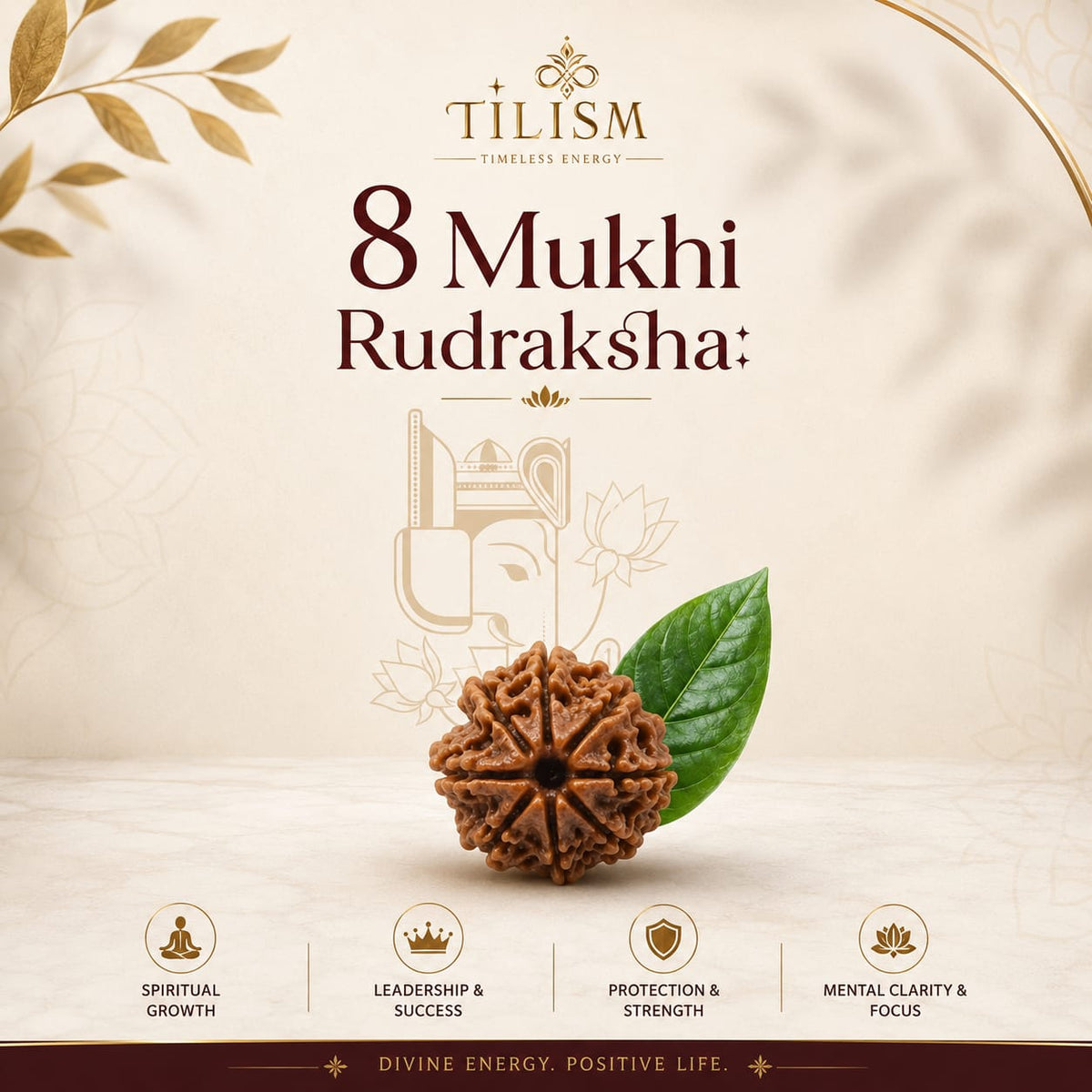 8 Mukhi Rudraksh by Tilism | Natural Eight Faced Rudraksha