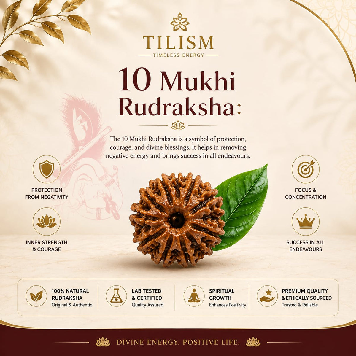 Tilism 10 Mukhi Rudraksh | Natural 10 Face Rudraksha Bead