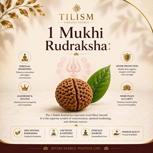 Tilism 1 Mukhi Rudraksha | Natural Rudraksh Bead