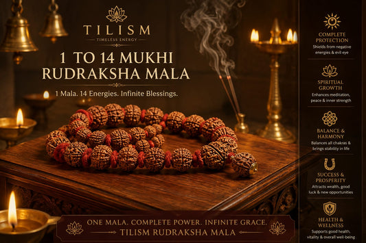 1 to 14 Mukhi Rudraksh Mala | Tilism Multi Mukhi Rudraksha Mala