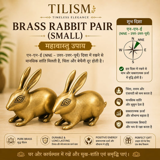 Brass Rabbit Decorative Pair | Home Décor & Gifting | Tilism